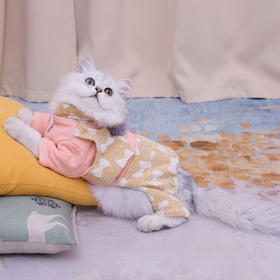 秋冬保暖可爱宠物衣服夹棉外套款