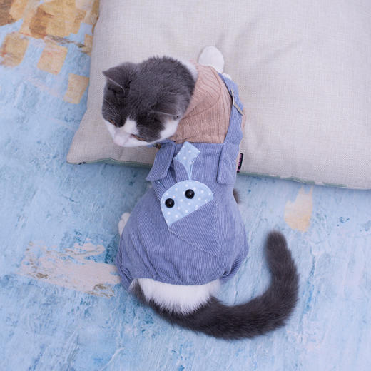 冬季猫衣服秋冬四脚猫咪网红可爱背带猫猫小狗狗泰迪保暖宠物冬装 商品图1