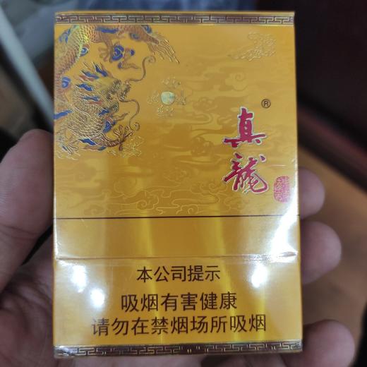 真龙中支 商品图0