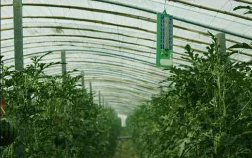 棚室蔬菜温湿度管理 商品图0