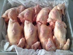 白条老母鸡 1Kg  批