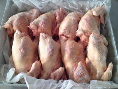 白条老母鸡 1Kg  批 商品图0