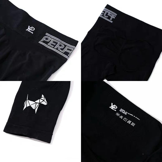 澳洲YPL AI小狗裤打底裤 商品图4