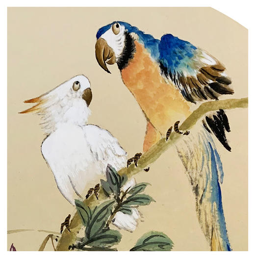 陈百园-真迹-花鸟画 《鹦鹉情图》餐厅 书房 客厅 商品图2