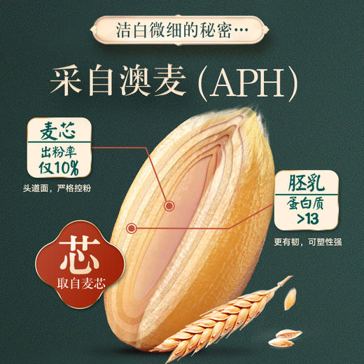 新良家宴自发粉包子粉1kg 商品图4