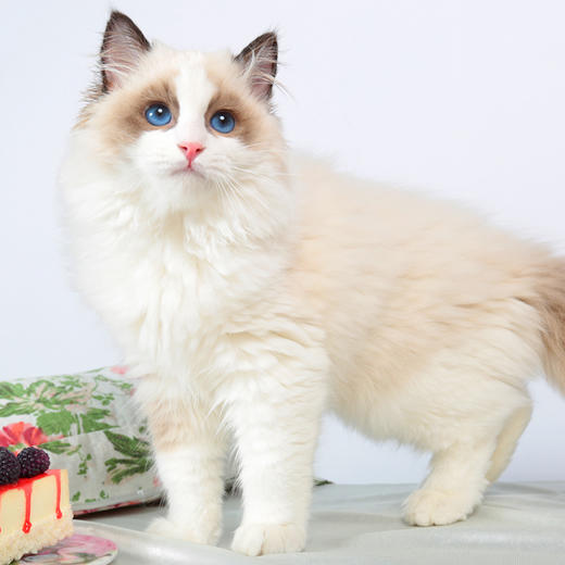 果糖测试商品 商品图0