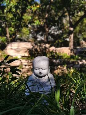 此刻，密云的山中，有人在悄悄地采集天地精华……