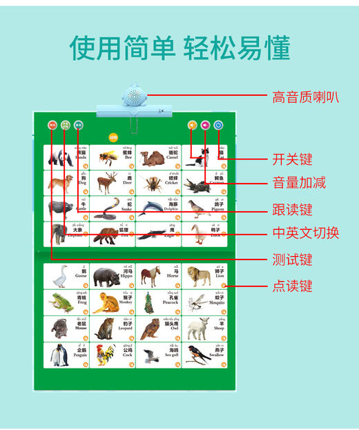 儿童有声拼音挂图点读发声书宝宝识字挂本幼儿发音认知早教认识玩具 商品图5