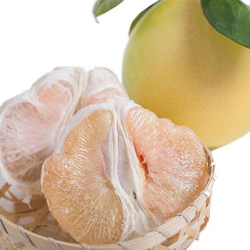 原产地爆款 6.6元/个 ! 琯溪白柚 约1900g