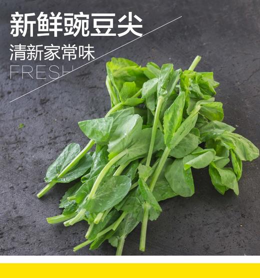 豌豆尖200g    新鲜蔬菜 商品图4