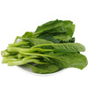 菜心250g  新鲜蔬菜 商品缩略图1