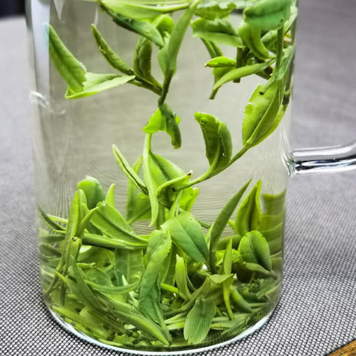 静仑山翠眉（新） 商品图1