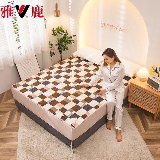 雅鹿双控速热恒温除螨无辐射电热毯 商品图0