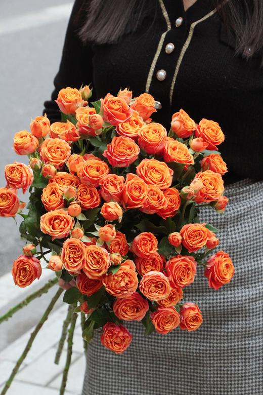 【周四团购】珊瑚泡泡玫瑰59.8元 2人拼团 商品图1