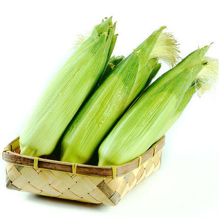 新包谷500g   新鲜蔬菜 商品图4