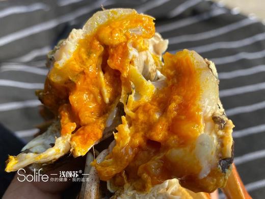 鲜活现货 红膏蟹  蟹肥膏黄要吃螃蟹了 商品图3