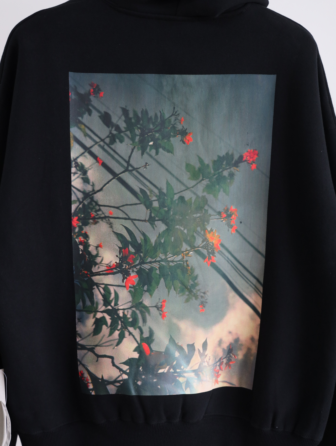 fog essentials 复线花卉520g加绒连帽卫衣