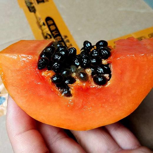 冰糖红心木瓜【净重9斤装约5-8个】基地直采发货 商品图2