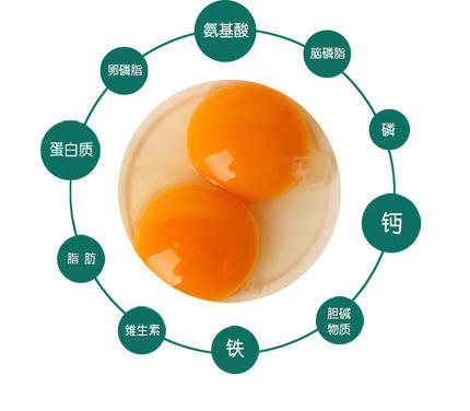 华曦珍土土鸡蛋 商品图4