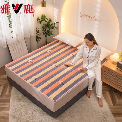 雅鹿双控速热恒温除螨无辐射电热毯 商品图2