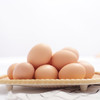 华曦珍土土鸡蛋 商品缩略图2