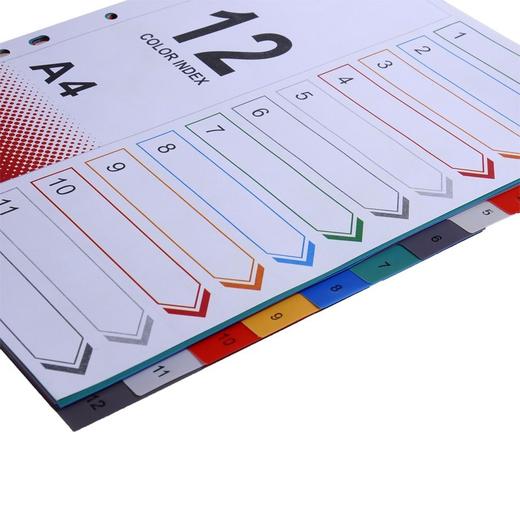 远生分类索引卡分页/纸 11孔塑料隔页标签10份12份31份 商品图3