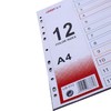 远生分类索引卡分页/纸 11孔塑料隔页标签10份12份31份 商品缩略图2