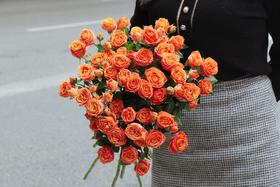 【周四团购】珊瑚泡泡玫瑰59.8元 2人拼团