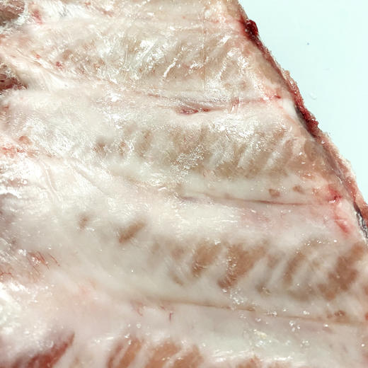 通州厂 大红门 进口冻肋排10kg*1 商品图2