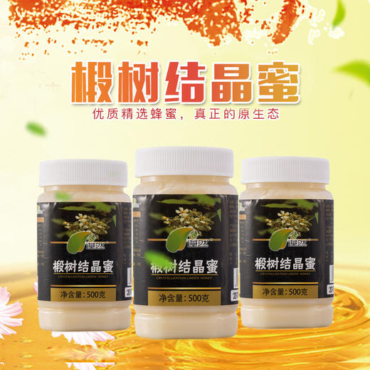 进然椴树结晶蜜500g*2 商品图0