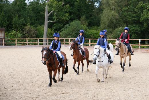 天星调良马术骑乘周末体验券 商品图3
