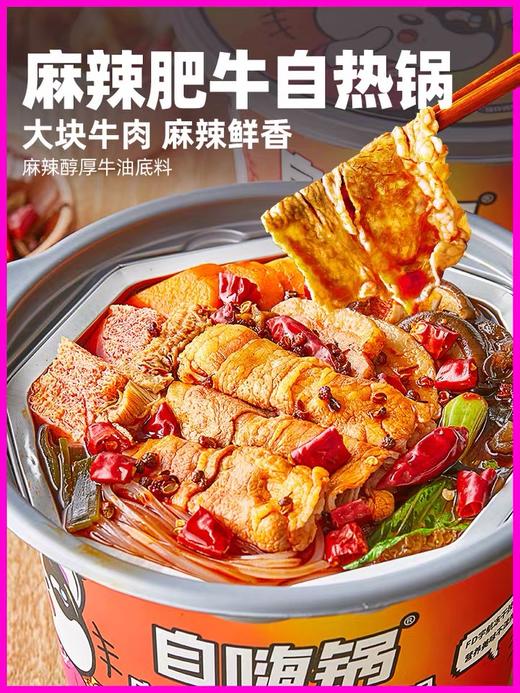自嗨锅 麻微辣肥牛自热懒人方便速食小火锅自热火锅170g 商品图0
