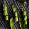 生态毛豆 | 合作生产*Eco green soy bean | Coproduction 商品缩略图1
