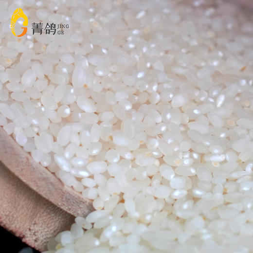 菁鸽  南粳46大米  5kg 商品图4