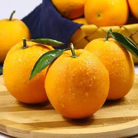 脐橙 500g/份