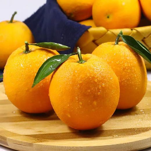 脐橙 500g/份 商品图0