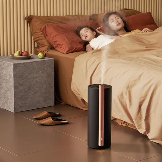 edon39度加湿器  家用静音卧室大雾量净化空气喷雾 商品图3