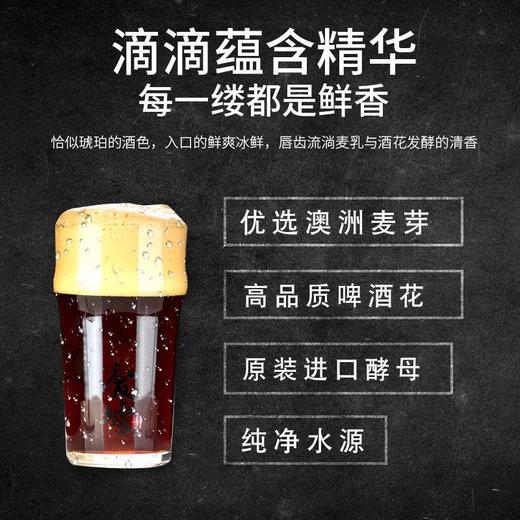 废墟精酿 国产精酿啤酒废墟世涛双料黑啤啤酒296ml 商品图4