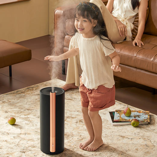 edon39度加湿器  家用静音卧室大雾量净化空气喷雾 商品图2