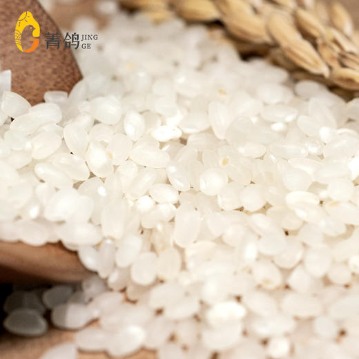 菁鸽  南粳46大米  5kg 商品图2