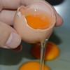 九华山鸡蛋 15枚装/盒，0到8℃冷藏可保存30天 商品缩略图1