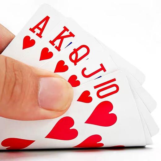 宾王新精品扑克牌正品成人斗地主纸牌2221 商品图1