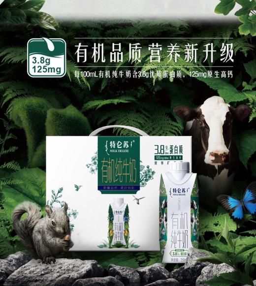 【薇娅推荐】特仑苏有机纯牛奶梦幻盖3.8g优质蛋白250ml*10包营养（250ml*10）/提 商品图5