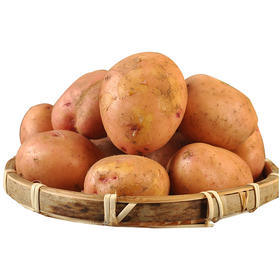 【0.78元/斤|预售】新鲜优质红土豆 新土豆 重约5斤【10月24日—25日提货】