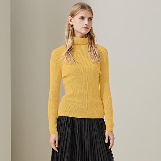 羊绒世家2020年早春新品女士高领100%山羊绒衫时尚抽条修身毛衣 商品图6