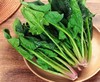 菠菜250g   新鲜蔬菜 商品缩略图1