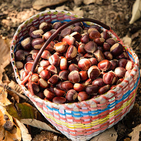 【预售】六合板栗大果 5斤 线上（只发江浙沪）