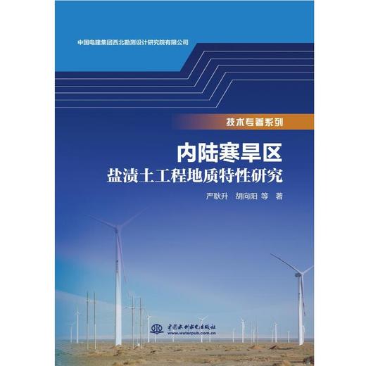 内陆寒旱区盐渍土工程地质特性研究 商品图0
