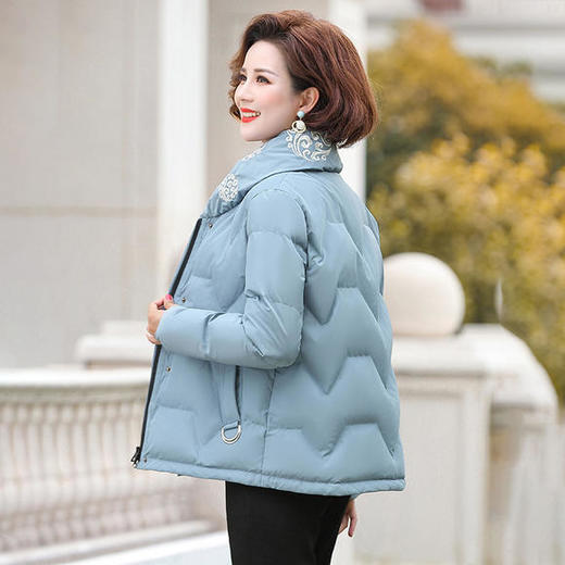 YCE-9-8610休闲时尚显瘦立领羽绒服外套 商品图1