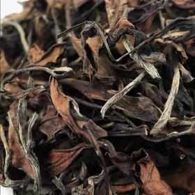 金秋共饮老白茶